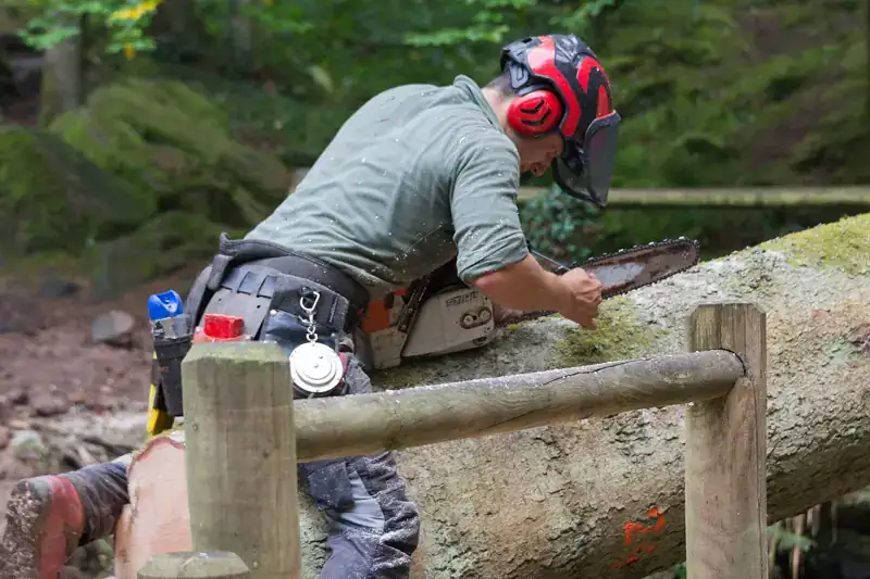 A logger working on his chainsaw chain at the bar
